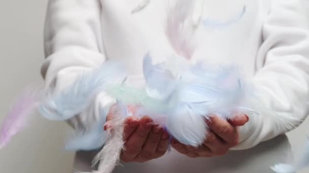 Niebieskie Różowe Ptasie Pióra Powoli Opadają Dłonie Piękna Grafika Puszystym — Wideo stockowe