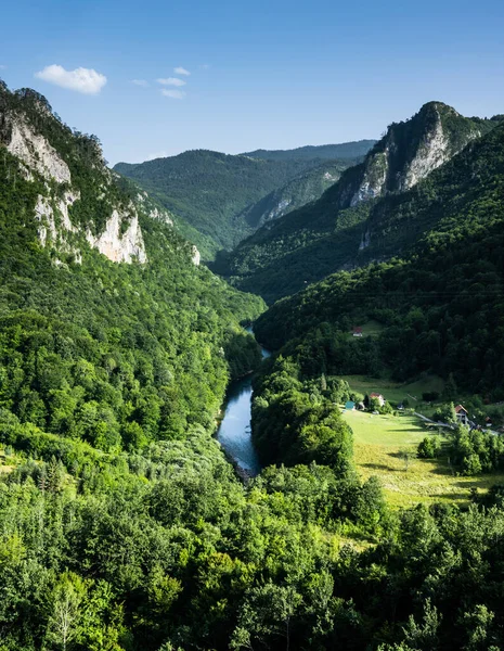 黑山山区的河流 从山顶俯瞰森林的美丽的自然小山 — 图库照片