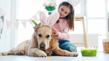 Golden Retriever köpeğine tavşan kulağı takan küçük güzel bir kız Paskalya zamanı evde yerde yatıyor.