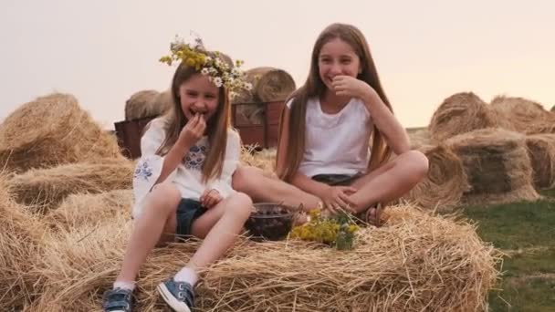 2人の美しい姉妹の干し草の山の上にボウル桜のフル 食べて笑って座っている 美しいですウクライナの女の子身に着けています花輪楽しいと日没時に街から笑みを浮かべて — ストック動画