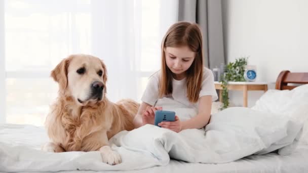 Golden Retriever Köpeğiyle Yatakta Oturan Akıllı Telefon Ekranına Bakan Kaydıran — Stok video