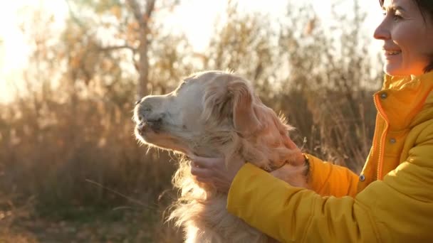 Chica Acariciando Perro Recuperador Oro Sonriendo Atardecer Aire Libre Con — Vídeos de Stock