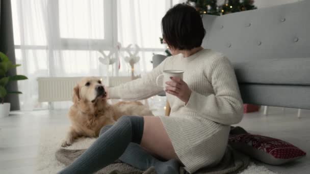 Κορίτσι Πίνοντας Κακάο Από Κύπελλο Και Χαϊδεύοντας Σκυλί Golden Retriever — Αρχείο Βίντεο