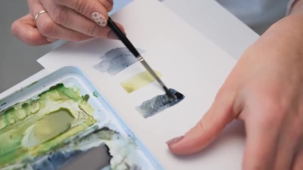 Frauenhände Halten Pinsel Und Zeichnen Auf Weißer Papierleinwand Mit Aquarellpalette — Stockvideo