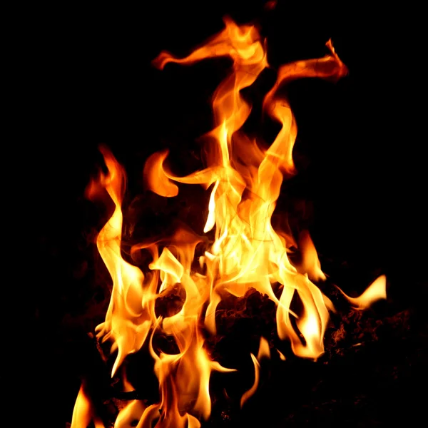 Feuer und Flamme rot Stockbild