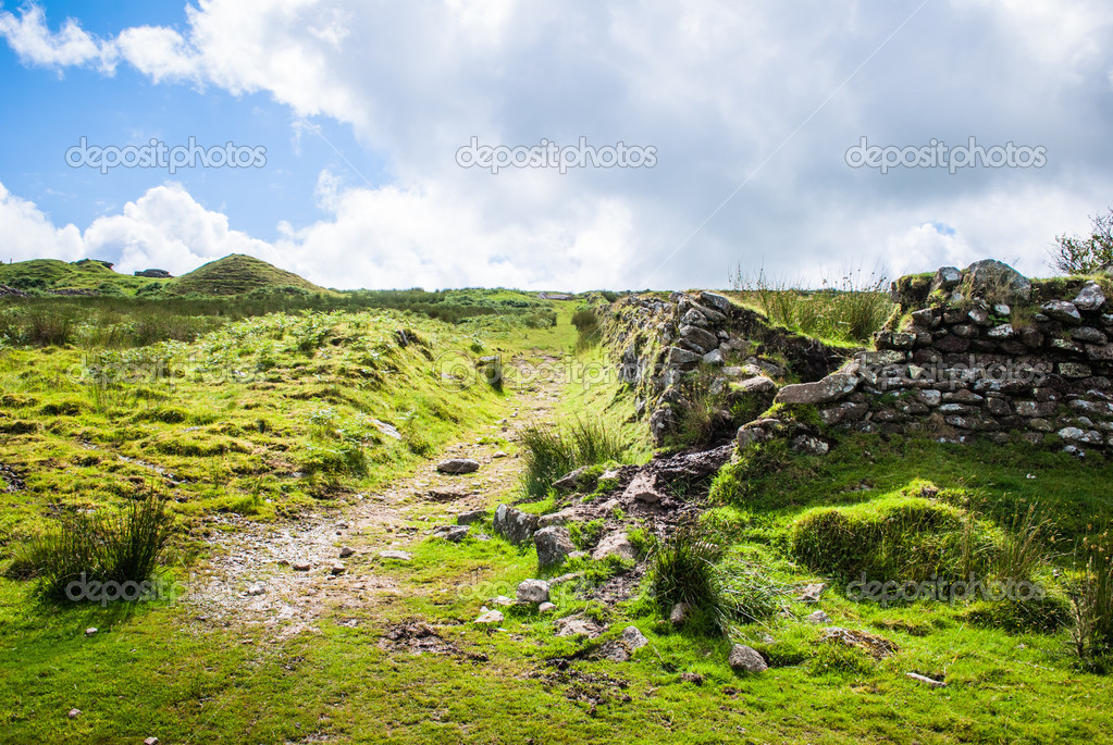 Footpath leading across Bodmin Moor UK