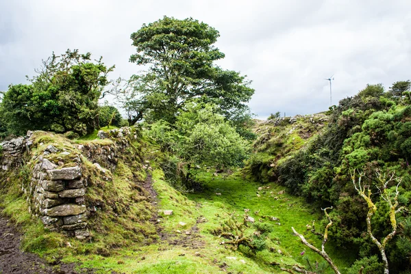 Mur et ravin sur la lande de Bodmin — Photo