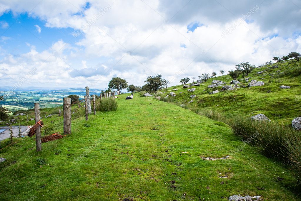 Grass path across Bodmin Moor