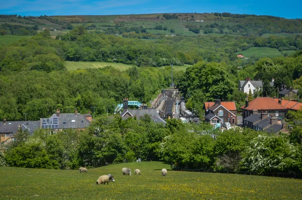 Grosmont town and railway station — Stock Photo, Image