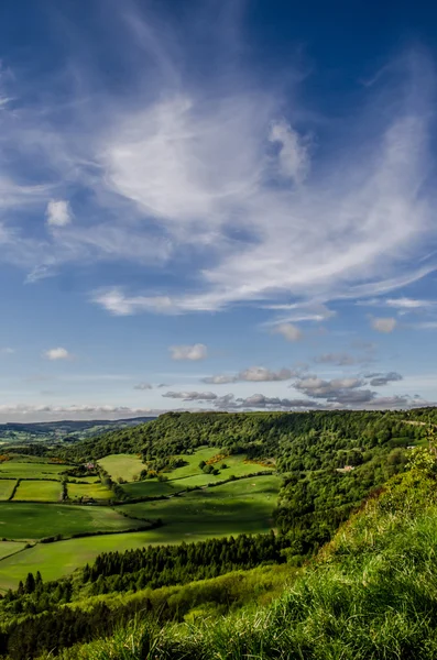 Gröna böljande kullar med blå himmel och moln — Stockfoto