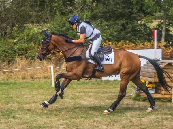 HOOK UK - AUGUST 29 2022 Rider completing the course as Wellington Horse Trials. with a fence in the background.