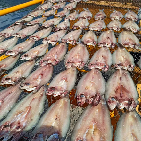 Dried Fish Sunny Day — Stock Photo, Image