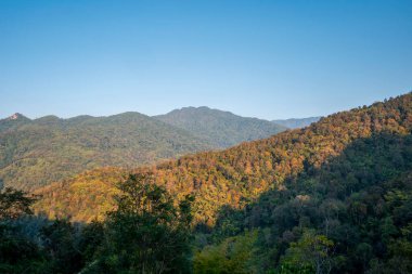Tayland 'ın Chiang Mai eyaletindeki yüksek dağ.