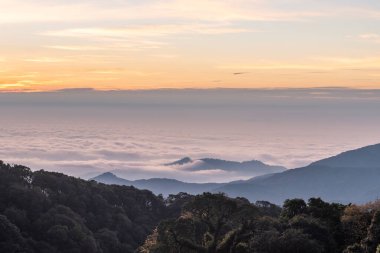 Günaydın sis Chiang Mai, Tayland