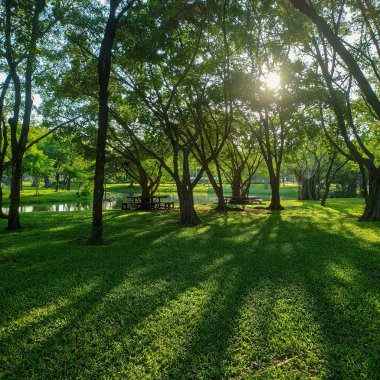 Tayland Bangkok Parkları