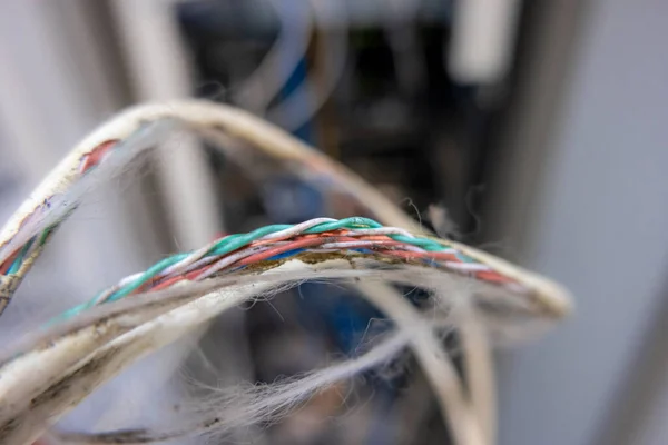 The cable was damaged due to a rat bite.