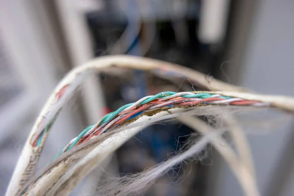 The cable was damaged due to a rat bite.