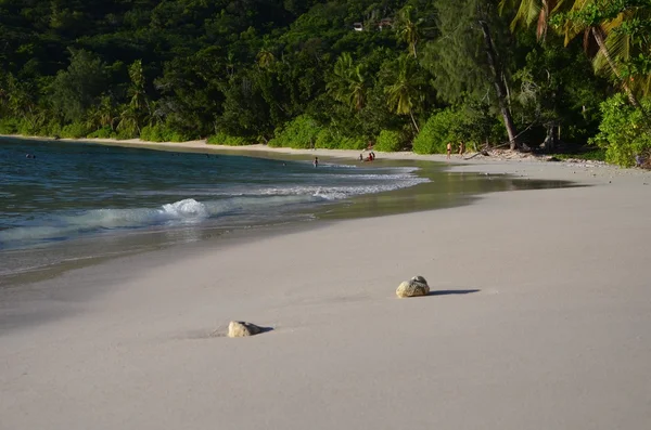 Praia Anse Takamaka na ilha de Mahe, Seychelles — Fotografia de Stock