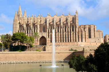 palma de Katholische kathedarale