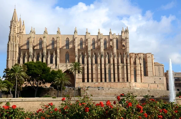palma de Katholische kathedarale