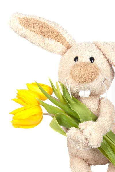 Easter bunny holwing tulips Stock Image