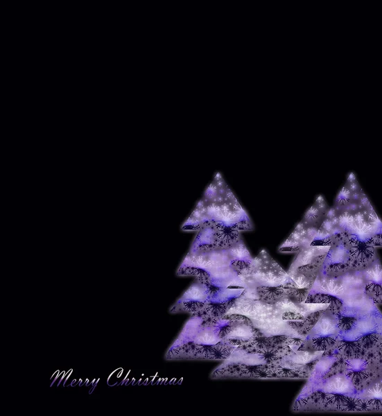 Chrismas violet trees — Stock Photo, Image