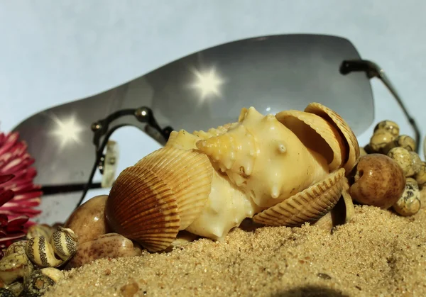 Sunglasses and snails in the sand of the beach — Stock Photo, Image