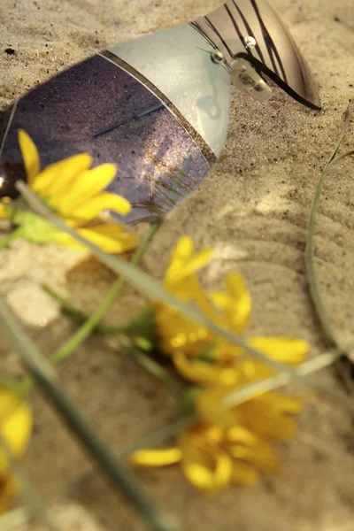 Gafas de sol —  Fotos de Stock