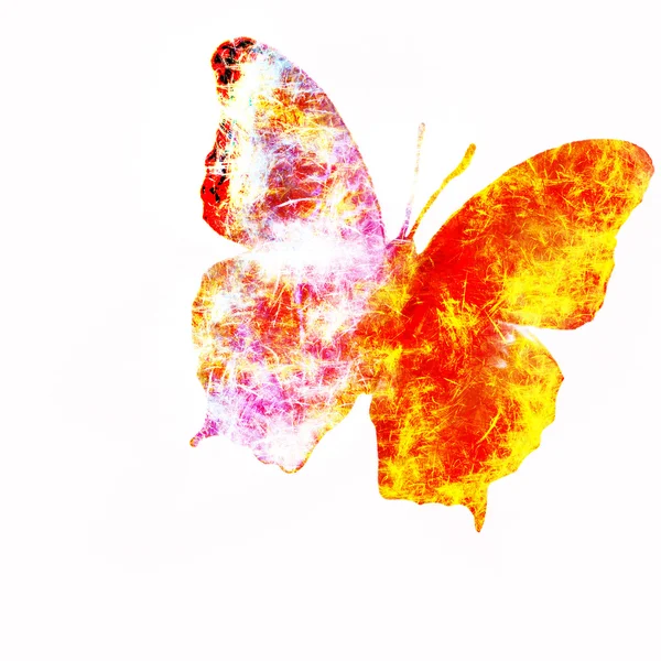 Bunter Schmetterling — Stockfoto
