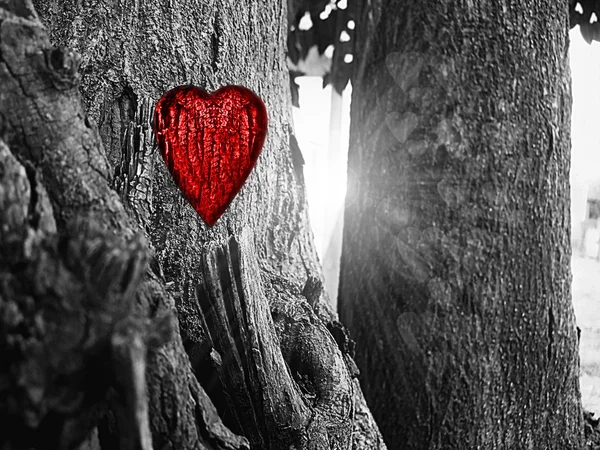 Coração esculpido Fotografia De Stock