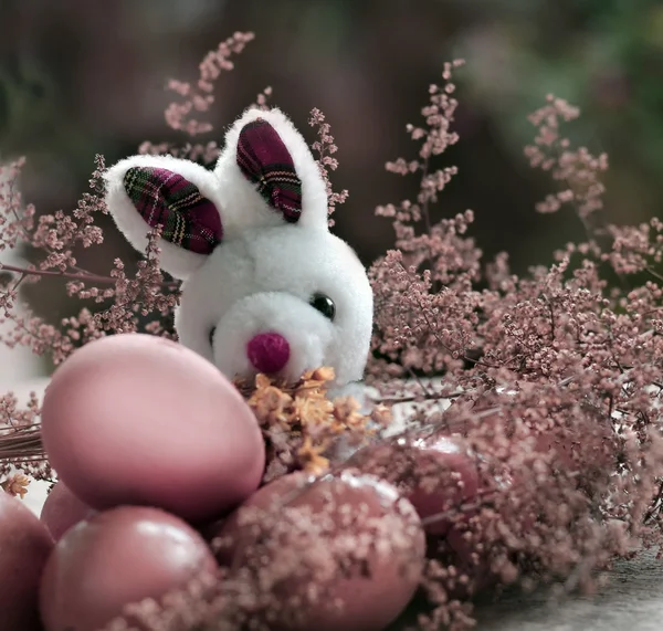 Pascua, huevos, conejo —  Fotos de Stock
