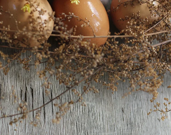 Huevos de Pascua decorados — Foto de Stock