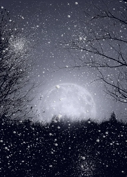 Zimowa noc Obrazek Stockowy
