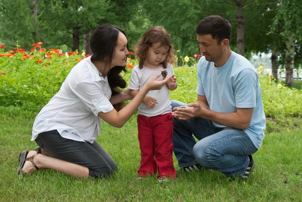 Family Stock Picture