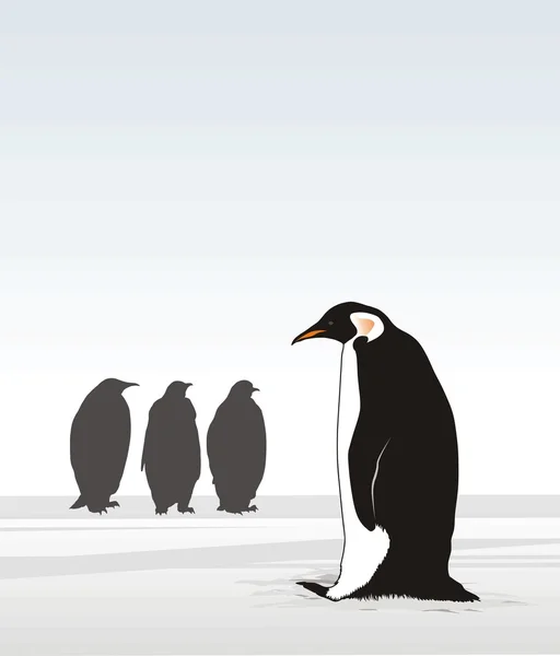 Penguins — Stock Vector