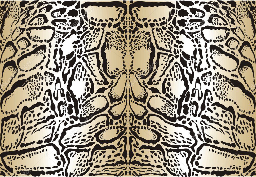 Pattern background clouded leopard