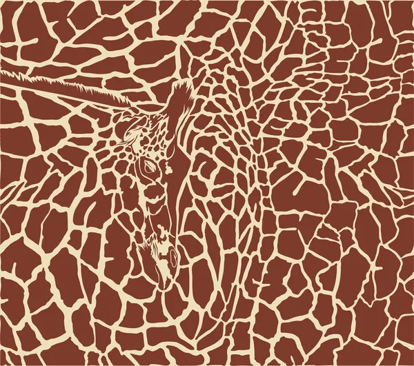 Patrón jirafa color fondo — Archivo Imágenes Vectoriales