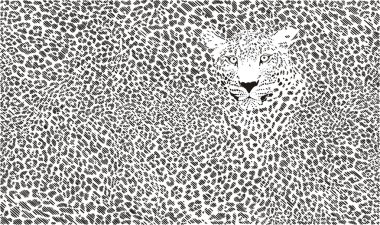 Jaguar deri arka plan