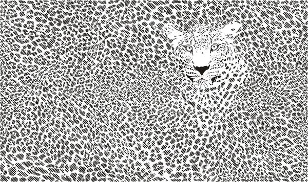 Fond de peau Jaguar — Image vectorielle