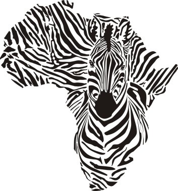 Afrika zebras bir kamuflaj