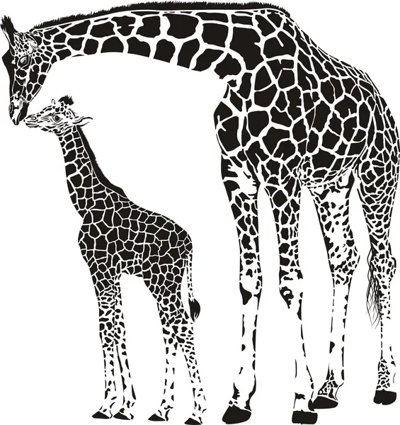 Tierische Familie der Giraffen — Stockvektor