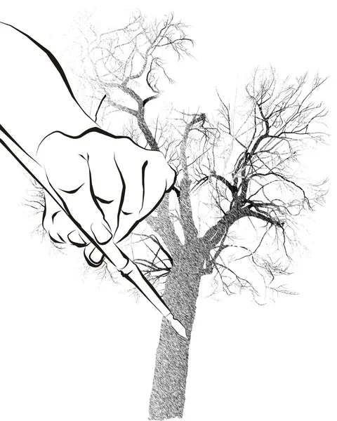 Tree Illustration Pen — Stock Photo, Image