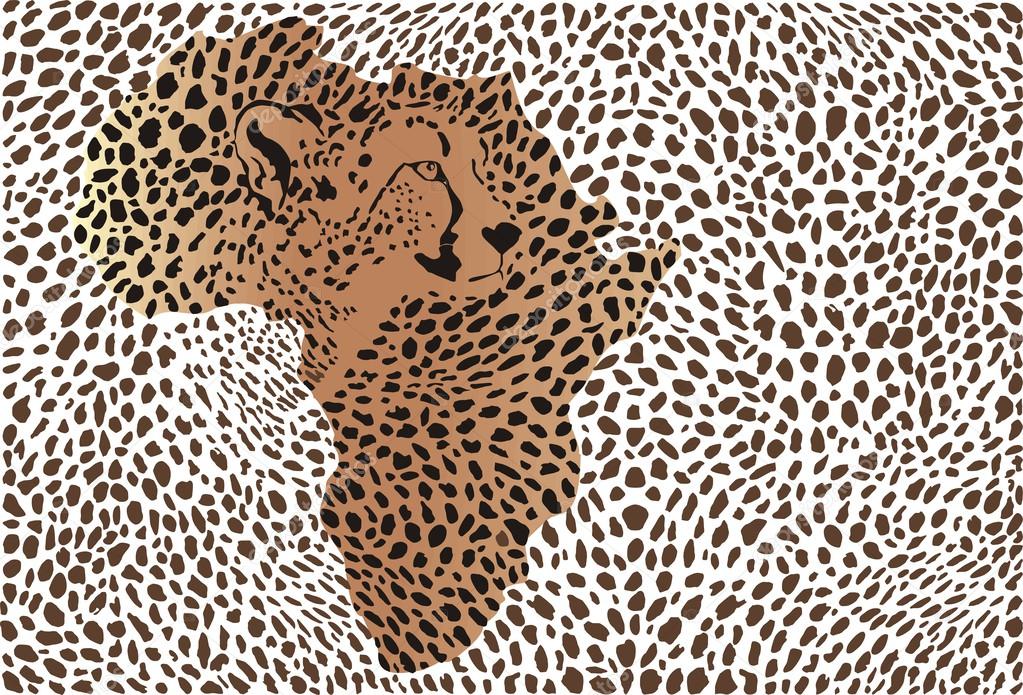 Background of the African cheetah