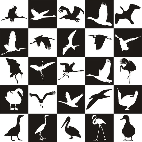 Μαύρο και άσπρο φόντο με υδρόβια και παρυδάτια πουλιά — Διανυσματικό Αρχείο