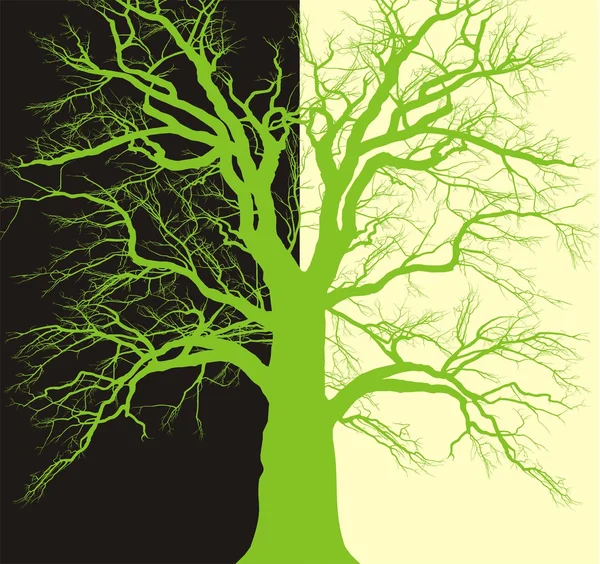 Arrière plan avec vieil arbre ramifié — Image vectorielle