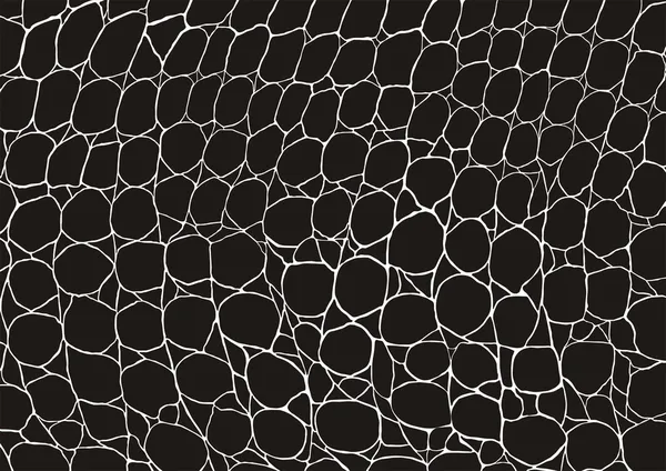 Εικόνα του μαύρο κροκοδείλια δέρμα υφή — Διανυσματικό Αρχείο