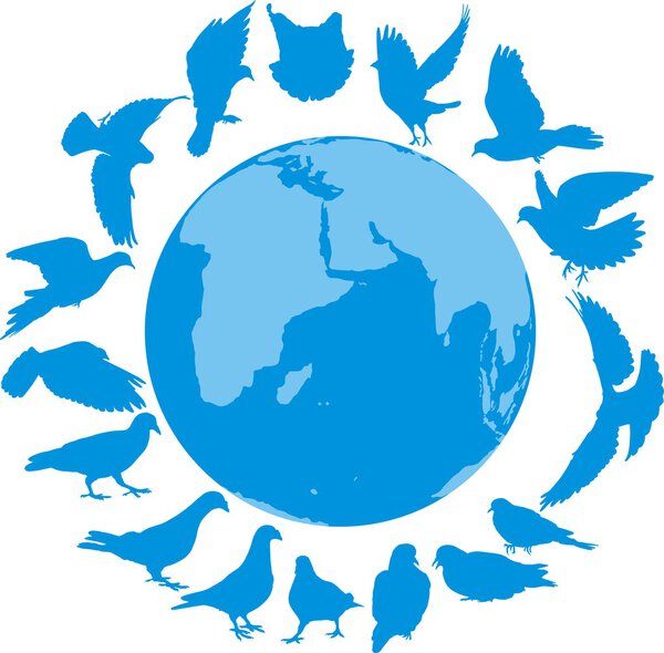 голубь мира