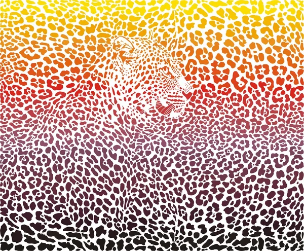 Leopard abstract background — Stock Vector