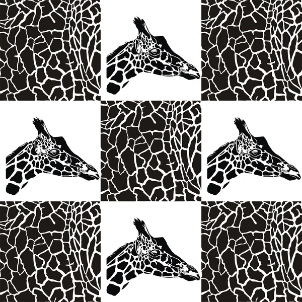 Giraffe patterns for textiles and wallpaper — Stock Vector