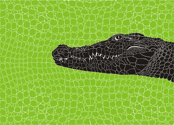 Modèle crocodile fond — Image vectorielle